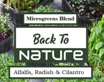 Alfalfa, Radish & Cilantro Microgreen Seed Blend - Organic - Non Gmo - Heirloom Seeds – Microgreen Seeds - USA Garden Seeds
