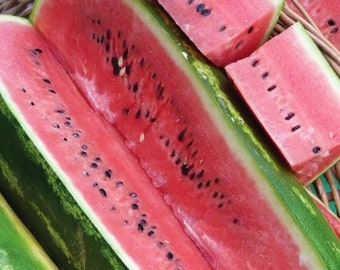 Jubilee Watermelon Seeds - Organic & Non Gmo Watermelon Seeds - Heirloom Seeds - Fresh USA Grown Seeds - Grow Your Own Watermelon At Home!