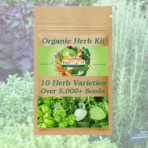 Herb Seed Kit - Over 5,000+ Seeds - 10 Herb Varieties - Organic & Non Gmo Herb Seeds - Heirloom Seeds – Herb Seeds - USA Garden Seeds