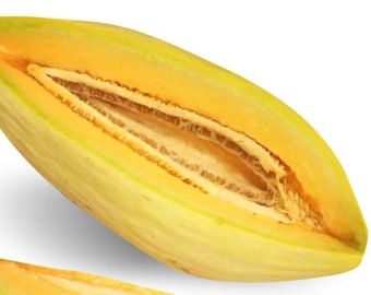 Banana Melon Seeds - Organic & Non Gmo Melon Seeds - Heirloom Seeds - Fresh USA Grown Seeds - Grow Your Own Fresh Fruit At Home!