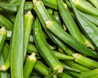 Semillas de okra - Semillas de okra sin espinas - Semillas de okra orgánicas y no transgénicas - Semillas tradicionales - Semillas frescas cultivadas en EE. UU. - ¡Cultive su propia okra en casa!