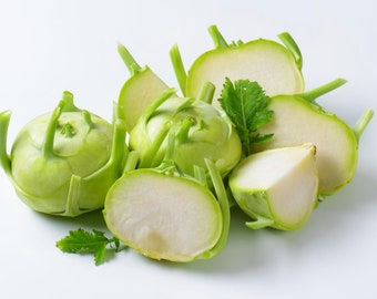 Weiße Kohlrabi Samen - Bio & Non Gmo Kohlrabi Samen - Heirloom Samen - Frische in den USA angebaute Samen - Bauen Sie Ihren eigenen Kohlrabi zu Hause an!