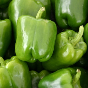 Sweet California Green Bell Pepper Seeds - Organic & Non Gmo Pepper Seeds - Heirloom Seeds - USA Grown Seeds - Grow Your Own Food At Home!
