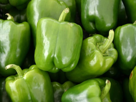 Bell pepper, Organic, Heirloom, Non-GMO