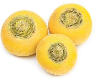 Goldene Rübe Kerne - Organische und Nicht Gmo Samen - Heirloom Gemüsesamen - Frische Samen aus den USA - Bauen Sie Ihr eigenes Essen zu Hause an!