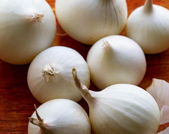 White Sweet Spanish Onion Seeds - Organic & Non Gmo Onion Seeds - Heirloom Seeds - Fresh USA Grown Seeds - Grow Your Own Food At Home!