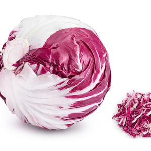 Radicchio Seeds - Organic & Non Gmo Radicchio Seeds - Heirloom Seeds – Vegetable Seeds - USA Garden Seeds - Grow Your Own Radicchio At Home