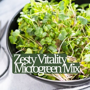 Zesty Vitality Microgreen Seed Blend - Organic Seeds - Non Gmo - Heirloom Seeds – Microgreen Seeds - Fresh USA Seeds!