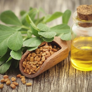 Fenugreek Seeds - Organic & Non Gmo Fenugreek Seeds - Heirloom Herb Seeds - Fresh USA Grown Herb Seeds - Grow Your Own Fenugreek From Seed