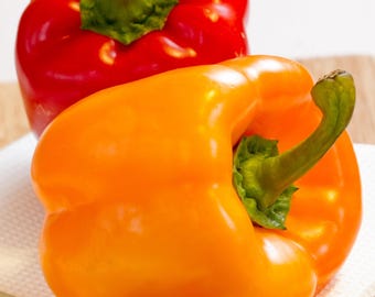 Semillas de pimiento morrón naranja - Orgánico y sin OGM - Heirloom - Cultiva tus propios alimentos en casa