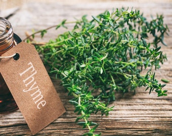 Graines de thym d'hiver allemand - Graines de thym biologiques et sans OGM - Graines Heirloom - Graines d'herbes aromatiques - Graines de jardin des États-Unis - Cultivez votre propre thym à la maison