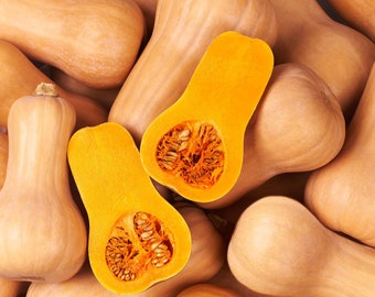 Butternut Squash Seeds - Organic & Non Gmo Seeds - Heirloom Seeds - Grow Your Own Food At Home