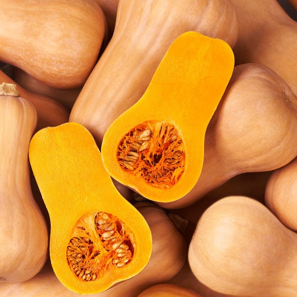 Butternut Squash Seeds - Organic & Non Gmo Squash Seeds - Heirloom Seeds – Vegetable Seeds - Fresh USA Grown Seeds - Grow Your Own Squash