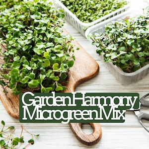 Garden Harmony  Microgreen Seed Blend - Organic Seeds - Non Gmo - Heirloom Seeds – Microgreen Seeds - Grows Fast