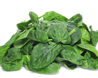 Giant Spinach Seeds - Organic & Non Gmo - Grow Your Own Giant Spinach At Home - Giant Noble Spinach Variety - Fast Shipping
