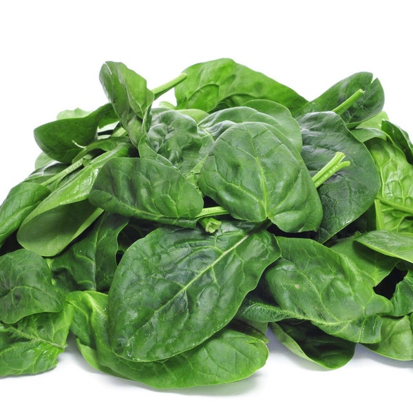 Giant Spinach Seeds - Organic & Non Gmo - Grow Your Own Giant Spinach At Home - Giant Noble Spinach Variety - Fast Shipping