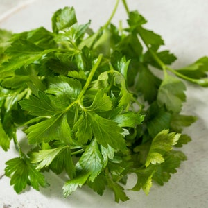 Italiaanse platte peterseliezaden - Biologische en niet-ggo-peterseliezaden - Heirloom Seeds - Fresh USA Grown Seeds - Kweek je eigen peterselie thuis!