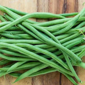 Top Crop Green Bean Seeds – Bush Bean Seeds - Organic & Non Gmo Beans - Heirloom Seeds - Fresh USA Grown Seeds - Grow Your Own Beans At Home