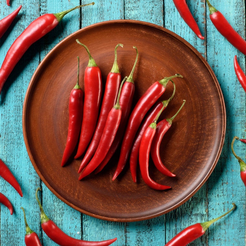 May include: A brown ceramic plate holds a cluster of bright red chili peppers, with several more scattered around on a weathered, turquoise-painted wooden surface. The peppers have green stems and a glossy appearance, suggesting freshness.