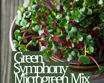 Kit 8 Tappetini Di Canapa Per Microgreens - 10x20cm Coltivazione Idroponica - Foto 11