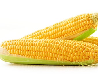 Yellow Sweet Corn Seeds - Golden Bantam Variety - Seeds - Organic & Non Gmo Corn Seeds - Heirloom Seeds – Vegetable Seeds - USA Garden Seeds