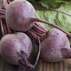 Detroit Dark Red Beet Seeds - Organic & Non Gmo Beet Seeds - Heirloom Seeds - Fresh USA Grown Seeds - Grow Your Own Healthy Beets At Home!