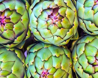 Artischockensamen - Bio & Non Gmo Artischockensamen - Heirloom Samen - Frische in den USA angebaute Samen - Green Globe Variety - Wachsen Sie Ihr eigenes Essen
