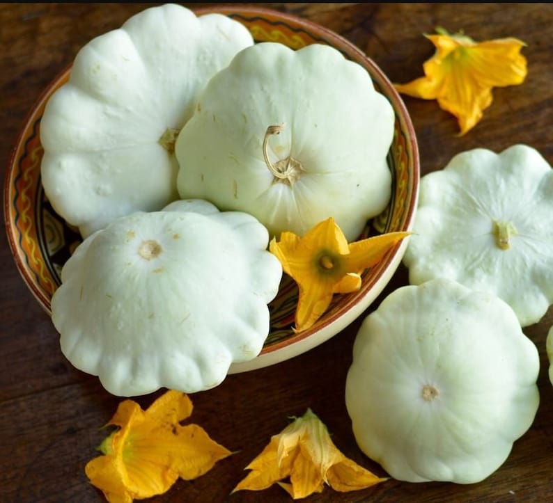 May include: Five pale green pattypan squash with scalloped edges are arranged in a bowl with yellow flower petals scattered around the bowl.