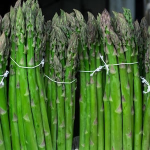 Asparagus Seeds - Mary Washington Variety - Organic & Non Gmo Asparagus Seeds - Heirloom Seeds – Vegetable Seeds - USA Garden Seeds