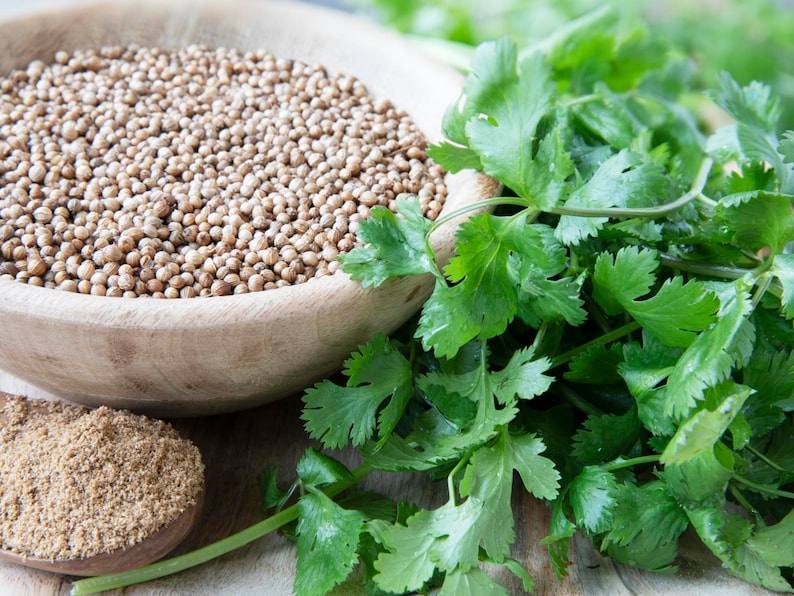 May include: A wooden bowl filled with coriander seeds, next to a pile of ground coriander and fresh coriander leaves.