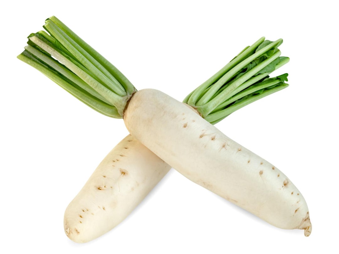 Daikon Radish Seeds Organic & Non Gmo Radish Seeds Heirloom Seeds Fresh USA Grown Seeds Grow