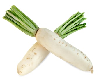 Daikon Radish Seeds - Organic & Non Gmo Radish Seeds - Heirloom Seeds - Fresh USA Grown Seeds - Grow Your Own Radish At Home!