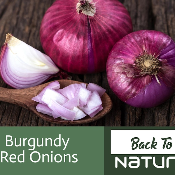 Burgundy Red Onion Seeds - Organic & Non Gmo Onion Seeds - Heirloom Onion Seeds - Fresh USA Grown Seeds - Grow Your Own Onions At Home!