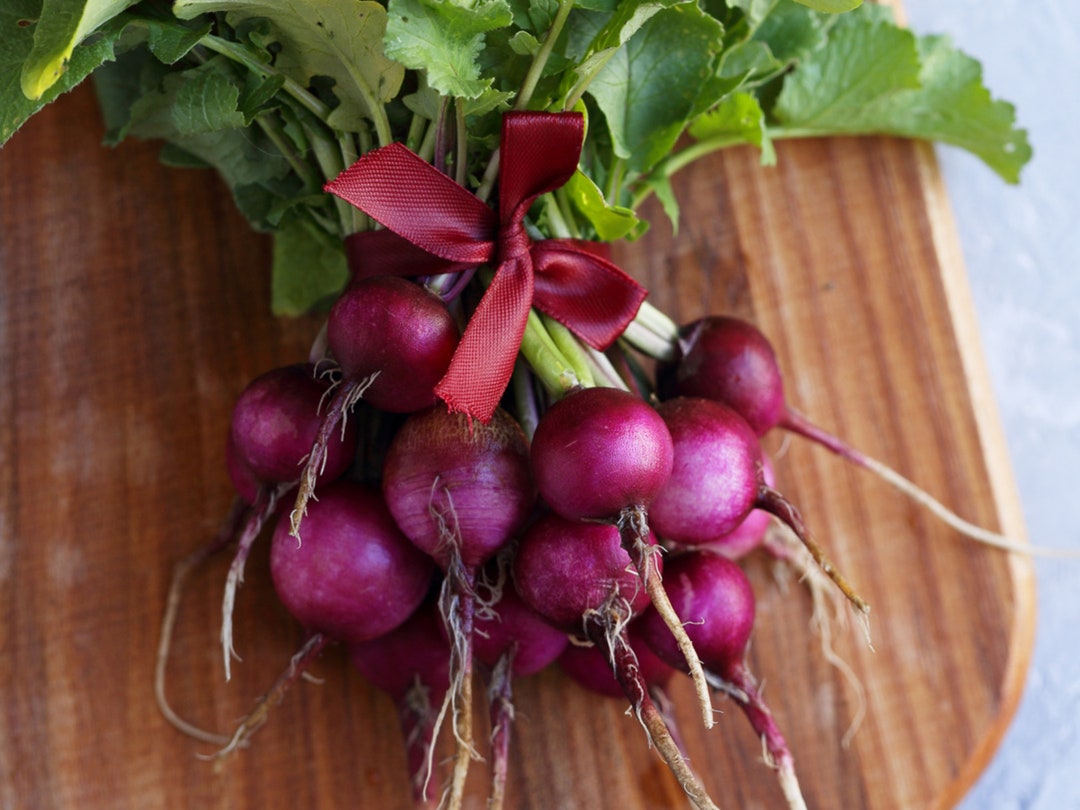 Purple Stem Radish Seeds Organic & Non Gmo Radish Seeds Heirloom Seeds
