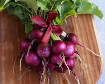 Semillas de rábano morado: reliquia orgánica, cultivada en EE. UU.