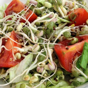 Rainbow Bean Sprouting Seed Mix - Organic & Non Gmo Sprouting Seed Mix - Heirloom Seeds – Microgreen Seeds - USA Garden Seeds - Sprouts
