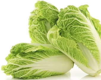 Chinese Cabbage Seeds - Organic & Non Gmo Cabbage Seeds - Heirloom Seeds - Fresh USA Grown Seeds - Grow Your Own Chinese Cabbage At Home!