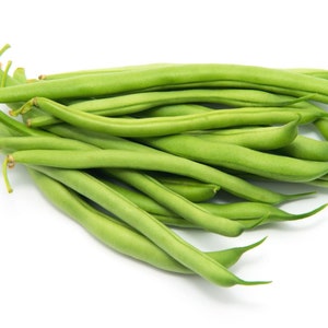 Stringless Landreth Bean Seeds - Organic & Non Gmo - Heirloom Seeds - Fresh USA Grown Seeds - Grow Your Own Beans At Home!
