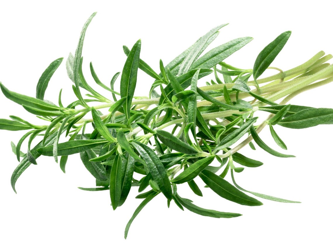 Summer Savory Herb Seeds Organic Non Gmo Heirloom Etsy