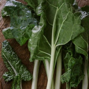 Fordhook snijbietzaden - biologisch en niet-ggo - Heirloom Seeds - Fresh USA Grown Seeds - Grow Your Own Food At Home!