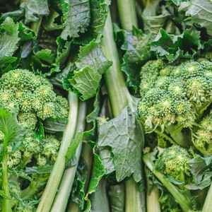 Broccoli Rabe Seeds - Organic & Non Gmo Broccoli Rabe Seeds - Heirloom Seeds - Fresh USA Grown Seeds - Grow Your Own Food At Home!