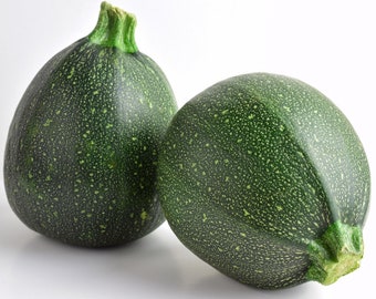 Round Zucchini Seeds - Organic & Non Gmo Seeds - Heirloom Vegetable Seeds - Fresh USA Grown Seeds