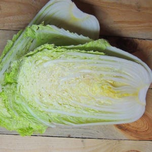 Graines de chou chinois - Graines de chou biologiques et sans OGM - Graines patrimoniales - Graines fraîchement cultivées aux États-Unis - Faites pousser votre propre chou chinois à la maison !
