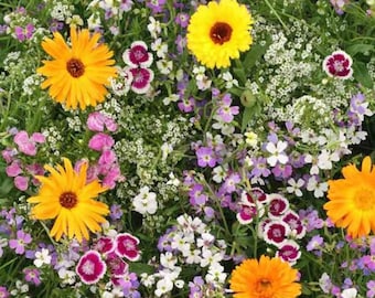 Mezcla de semillas de flores fragantes - Orgánicas y sin OGM - Semillas tradicionales - Semillas frescas cultivadas en EE. UU. - ¡Cultive sus propias flores en casa!