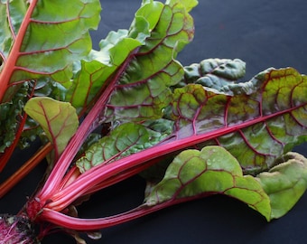 Semi Di Barbabietola, Burpees Golden | Bio - Foto 4