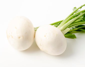 Weiße Rübensamen - Organische und nicht Gmo-Samen - Heirloom-Gemüsesamen - Frische in den USA angebaute Samen - Bauen Sie Ihr eigenes Essen zu Hause an!
