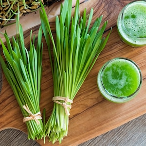 Puede incluir: Dos manojos de hierba de trigo verde fresca en una tabla de cortar de madera con dos vasos de jugo de hierba de trigo.