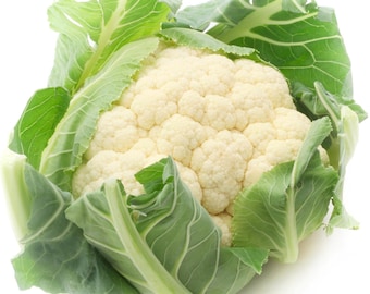 Cauliflower Seeds - Organic & Non Gmo - Heirloom Seeds - Fresh USA Grown Seeds - Grow Your Own Cauliflower At Home!