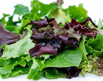 Semillas de mezcla de lechuga de primavera - Semillas orgánicas y no transgénicas - Semillas de mezcla de lechuga tradicional - Semillas de hortalizas - Semillas cultivadas en EE. UU. - ¡Cultive su propia comida!