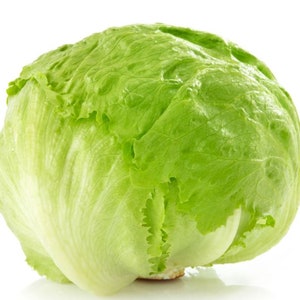 Iceberg Lettuce Seeds - Organic & Non Gmo Iceberg Lettuce Seeds - Heirloom Seeds - Fresh USA Grown Seeds - Grow Your Own Lettuce At Home!